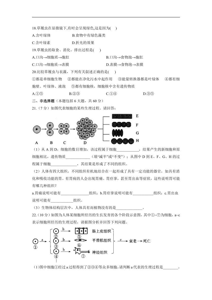 2021-2022学年人教版七年级上册生物 第2单元第2章 细胞怎样构成生物体章检测题 基础达标 （Word版 含解析）