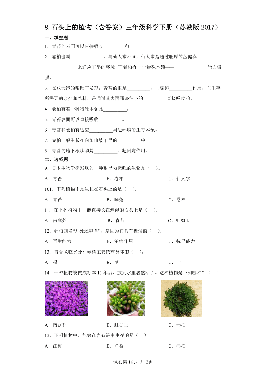 苏教版（2017秋） 三年级下册2.8 石头上的植物 同步练习  （含答案）