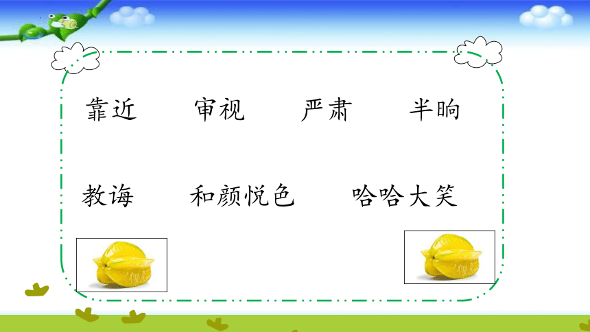 13 画杨桃 （课件）(共25张PPT)