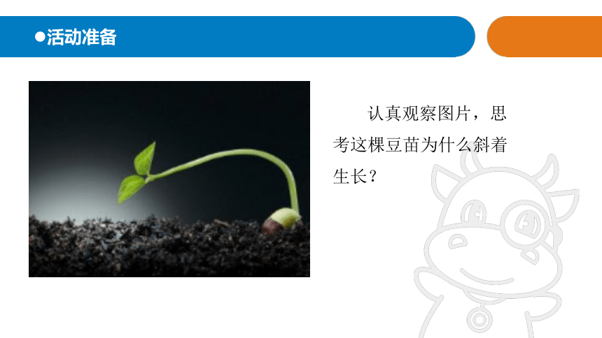 青岛版（六三制2017秋）科学二年级上册《10.植物和阳光》（课件17张ppt）