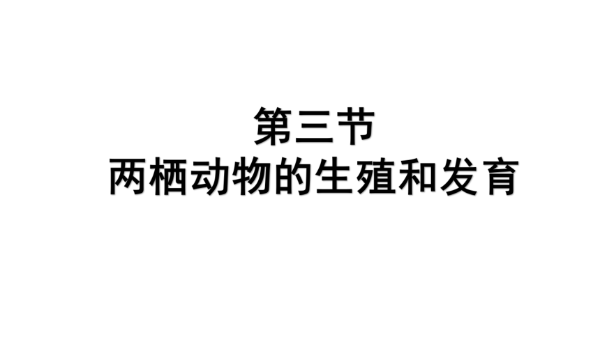 7.1.3 两栖动物的生殖和发育课件（36张PPT）