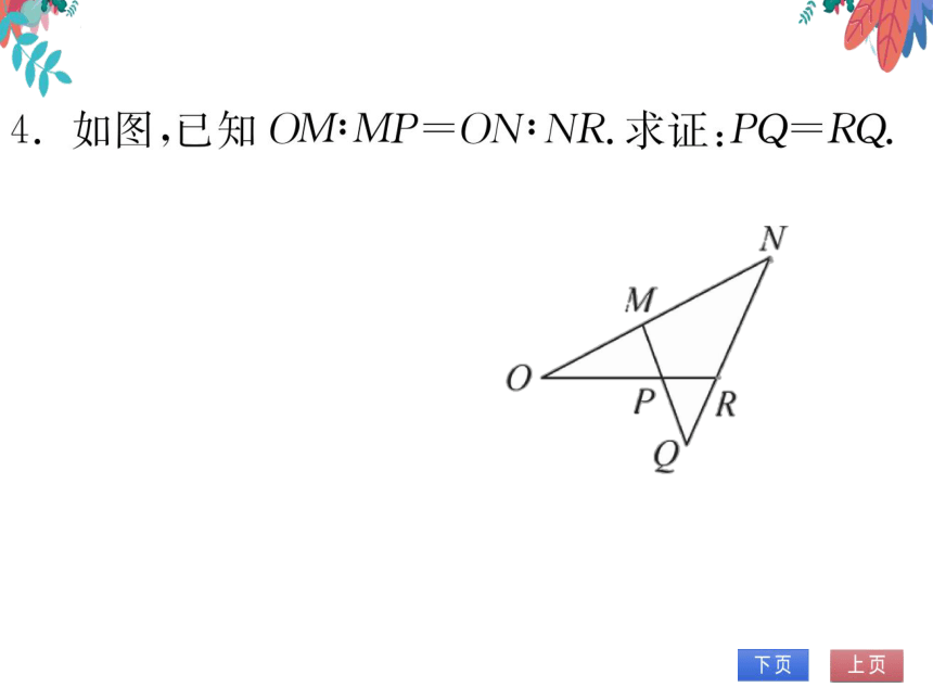 【沪科版】数学九年级上册 第22章 专题四 相似三角形的综合运用 习题课件