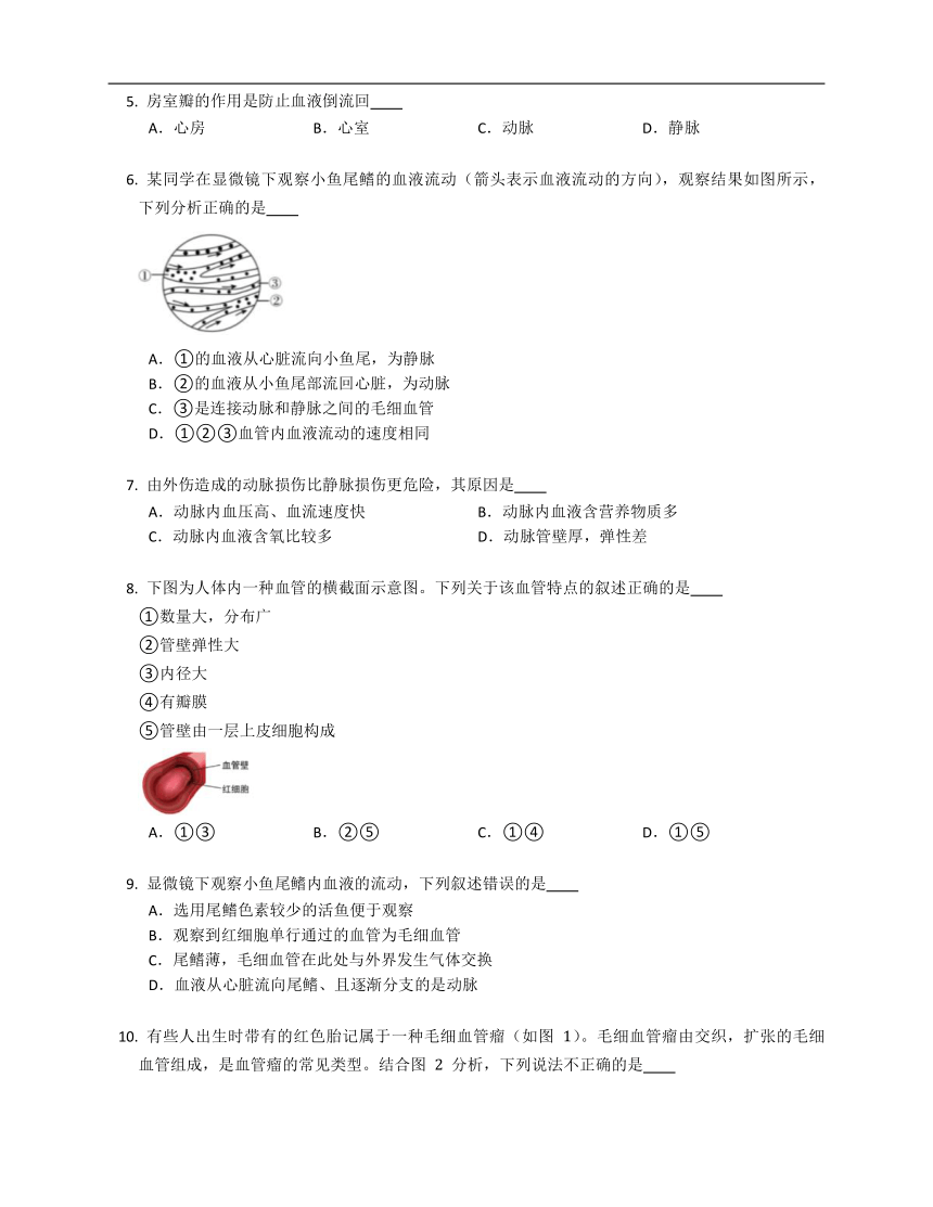 4.2血流的管道——血管  练习（含解析）