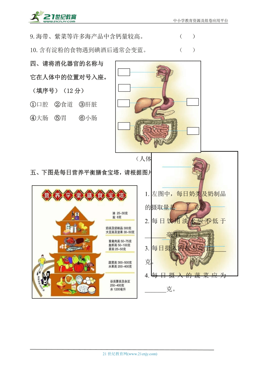 2022年秋鄂科版三年级上册科学期中质量检查卷（含答案）