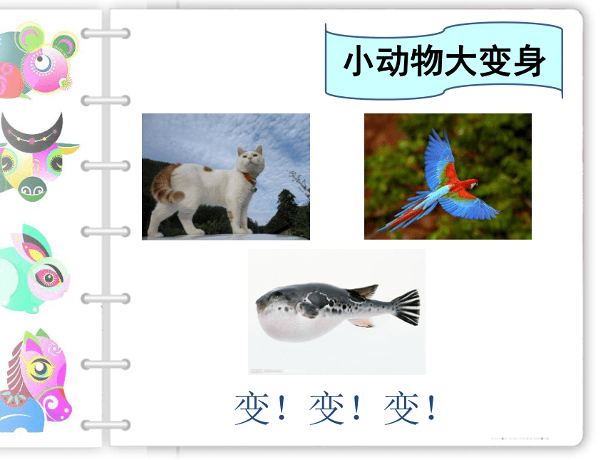 五年级下册美术课件-《1. 动物装饰》北京版 (共20张PPT)