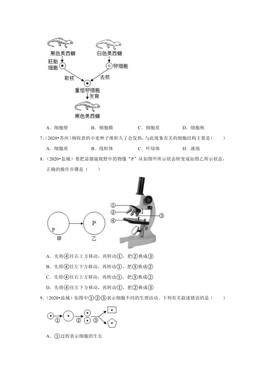 专题1生物体的结构层次----2019-2021年江苏省中考生物试题分类汇编（word版 含解析）