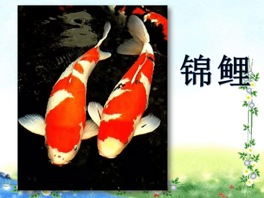 3 拍手歌  课件(共33张PPT)