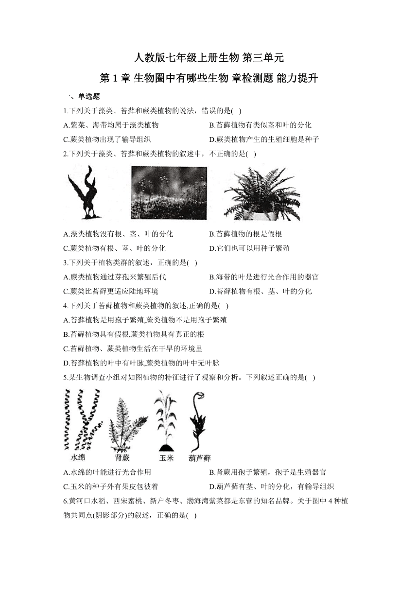 第三单元第一章 生物圈中有哪些生物 章检测题 能力提升  （word版含解析）2021-2022学年人教版七年级生物 上册