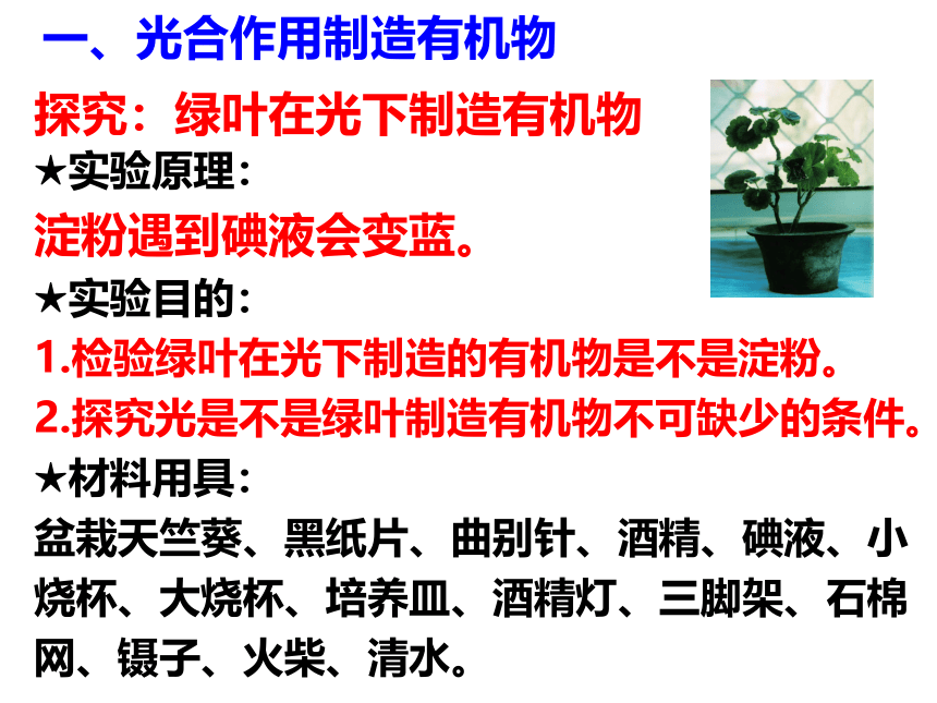 2021-2022学年人教版七年级生物上册3.4绿色植物是生物圈中有机物的制造者课件(共20张PPT)