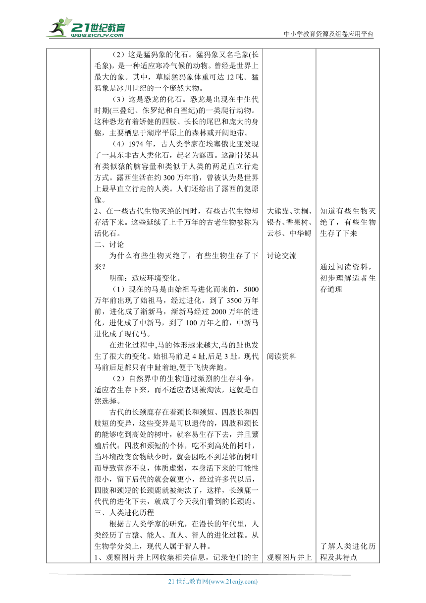 【核心素养目标】4.4《追根溯源》教案