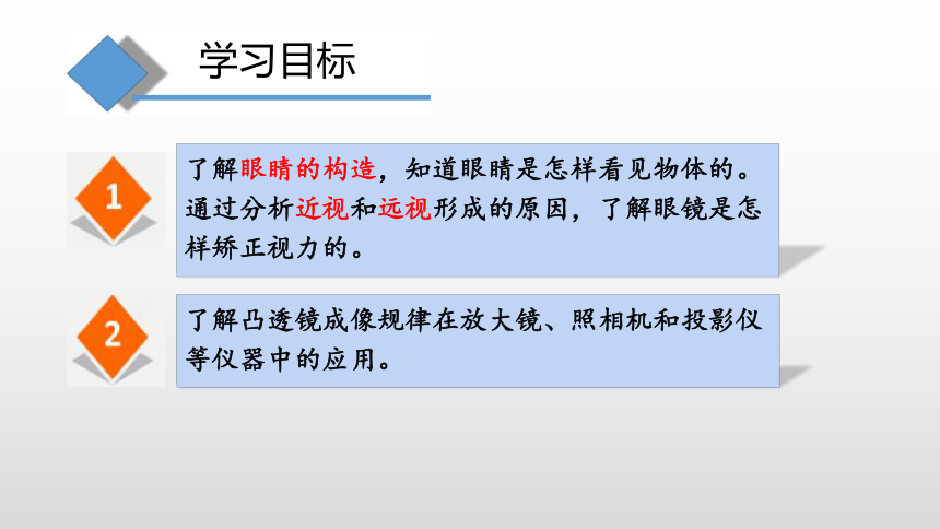 4.6神奇的眼睛—沪科版八年级全一册物理课件(共21张PPT)