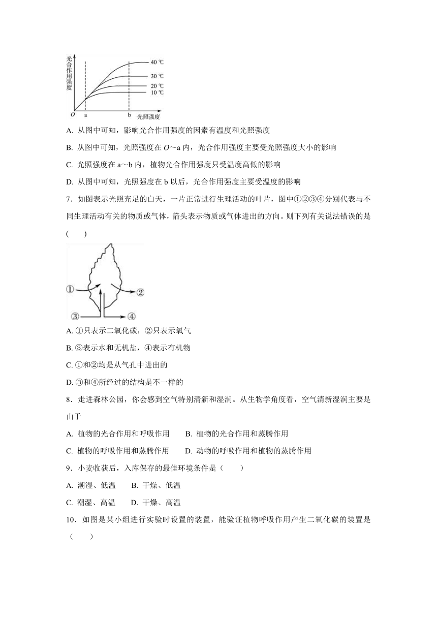 【会考专训】中考生物会考复习专项训练11：绿色植物的光合作用与呼吸作用（含解析）