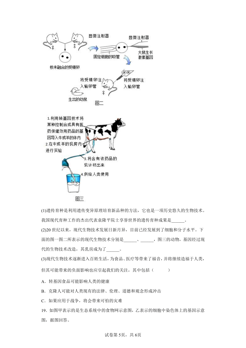 人教版八年级下册7.2.1基因控制生物的性状同步练习（word版 含解析）