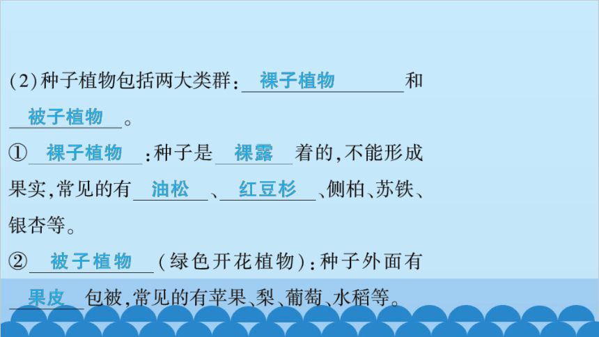 人教版生物七年级上册3.1.2　种子植物  第2课时　裸子植物和被子植物 习题课件(共19张PPT)