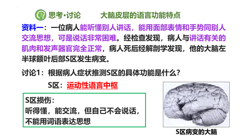 生物人教版（2019）选择性必修1 2.5人脑的高级功能课件2021-2022学年高二上学期（共32张PPT）