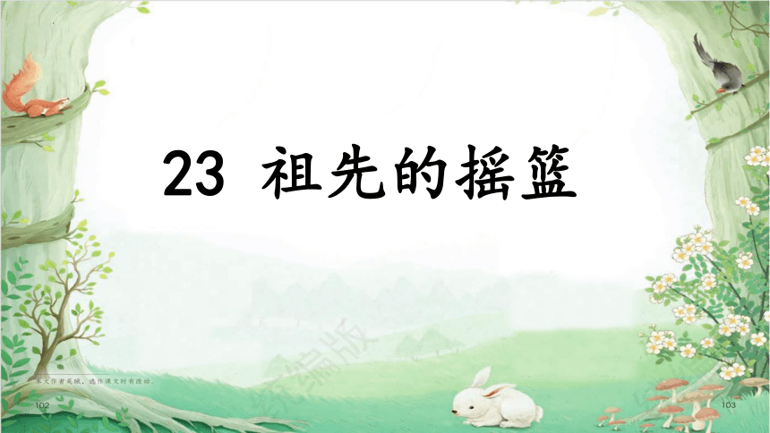 23 祖先的摇篮 （课件）(共22张PPT)