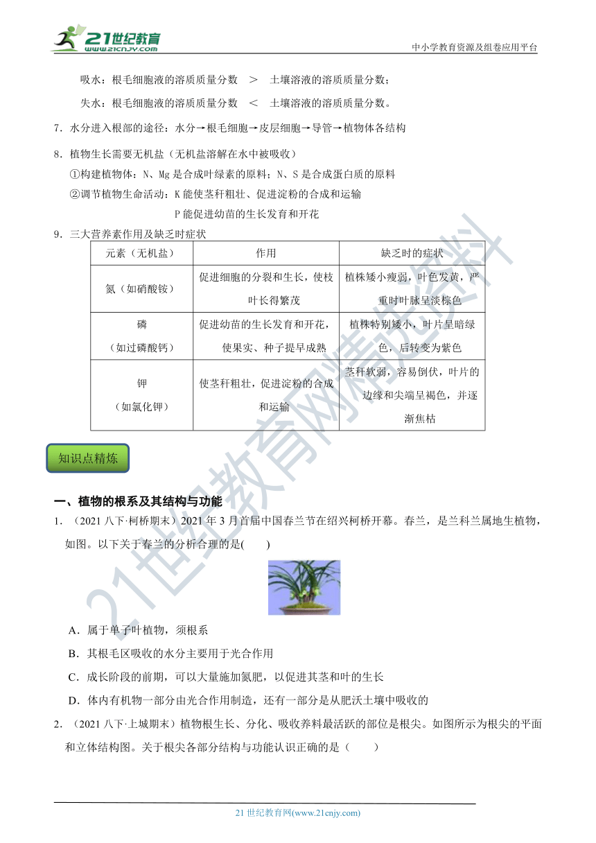 【8年级下册同步讲练测】4.3 植物的根与物质吸收 知识点精练（含答案）