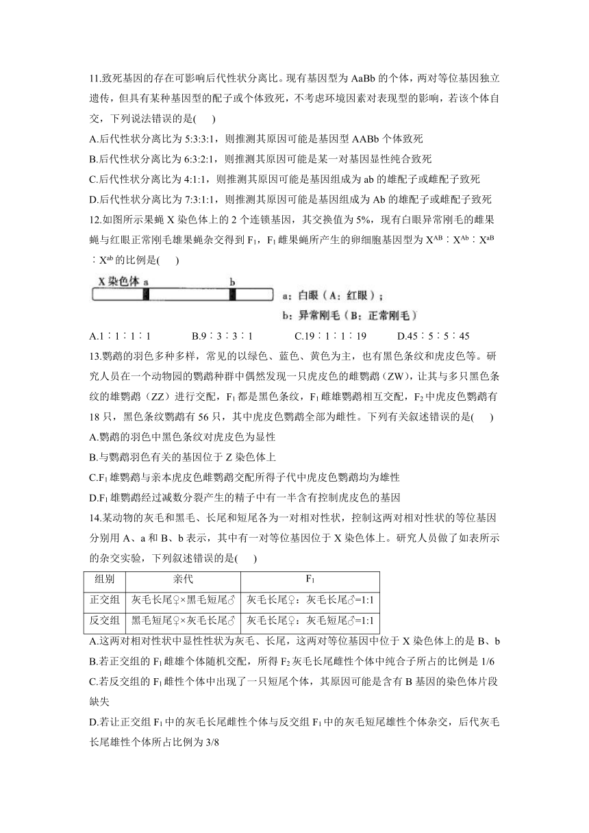 第1章 遗传的细胞基础 B卷 能力提升单元测试2021-2022学年高一下学期生物苏教版必修2（含答案解析）