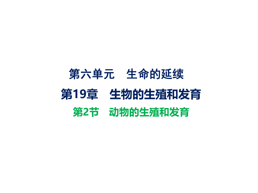 2021-2022学年度北师版八年级生物上册19.2 动物的生殖和发育课件(共31张PPT)