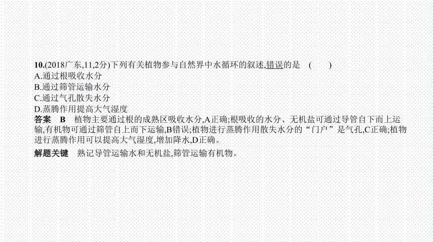 2023年中考生物复习专题★★　绿色植物的作用课件(共109张PPT)