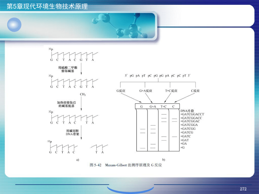 5.现代环境生物技术原理_10 课件(共22张PPT）- 《环境生物化学》同步教学（机工版·2020）