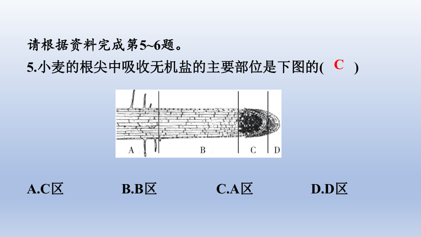 2023年中考生物复习专题★★★被子植物的一生习题课件（(共24张PPT)）