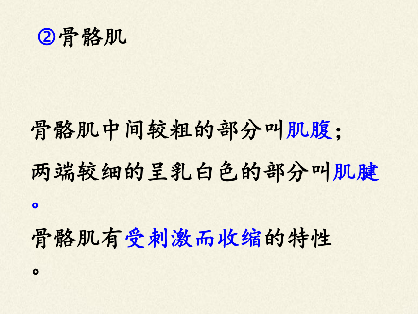 苏教版八年级生物上册 17.2  动物运动依赖于一定的结构(7) 课件(共16张PPT)