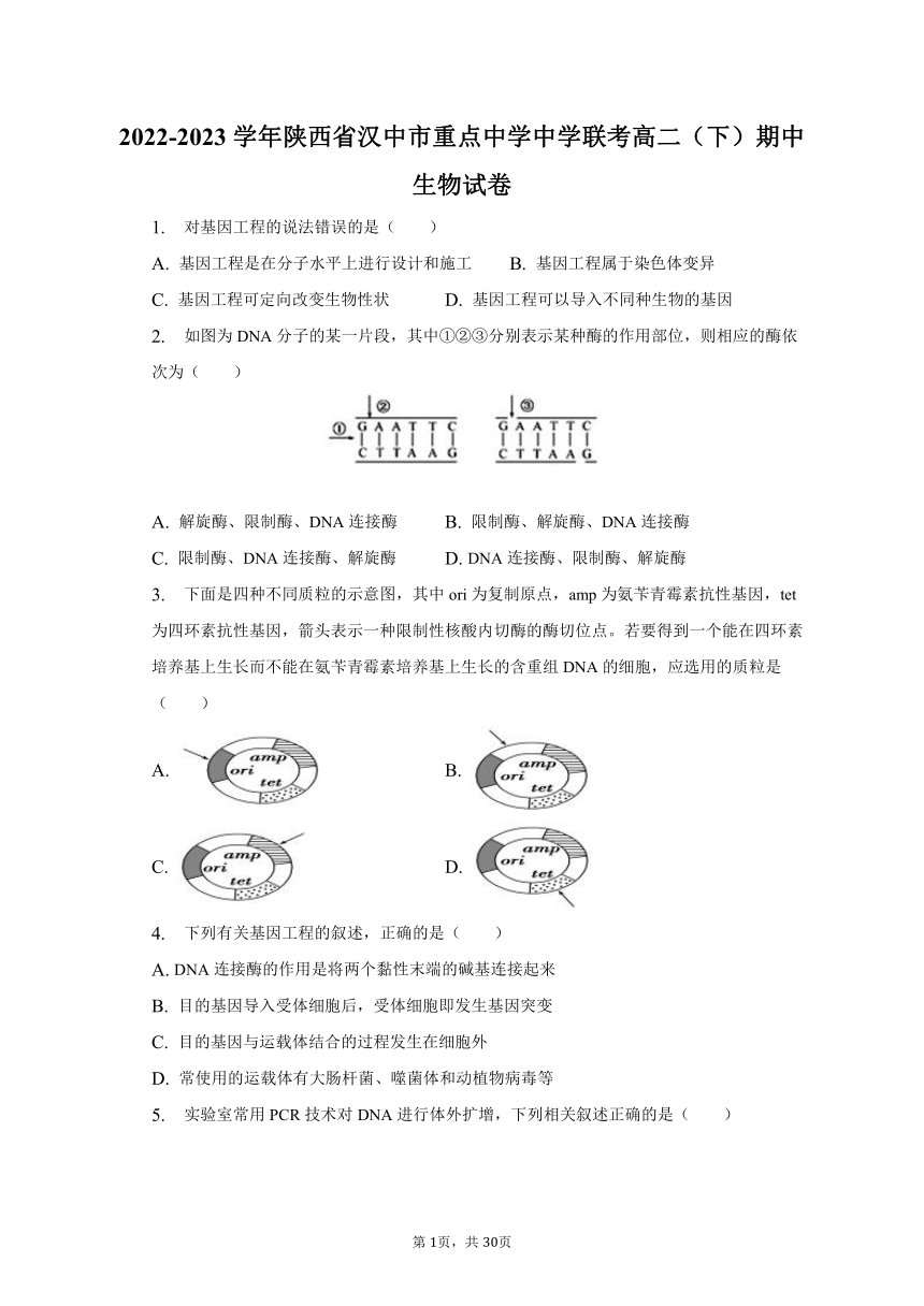 2022-2023学年陕西省汉中市重点中学中学联考高二（下）期中生物试卷（有解析）