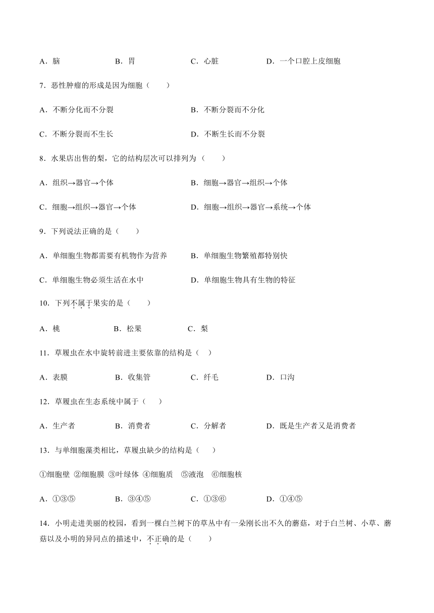 人教版初中生物七年级上册第二单元生物体的结构层次第二章细胞怎样构成生物体阶段性测试(word版 带答案)