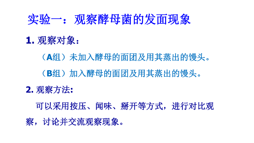 4.3 微生物 课件（21张）沪教版 第二册