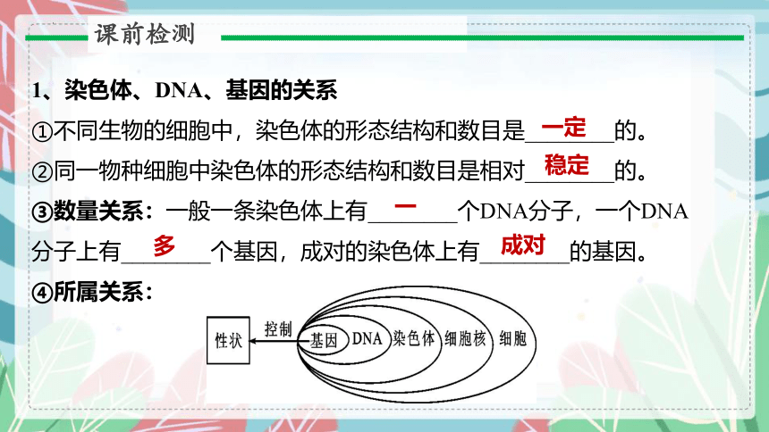 7.2.3 基因的显性和隐性-课件（人教版）(共34张PPT）