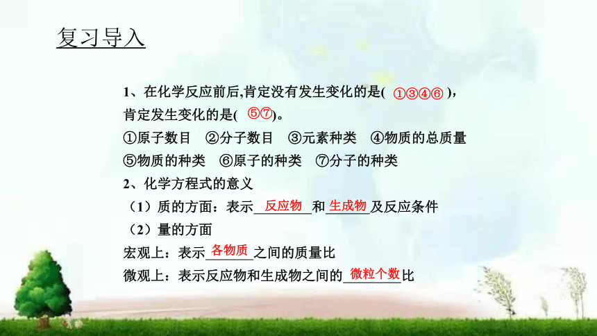 2022年鲁教版（五四制）化学八年级全一册 5.2.2 化学方程式的书写 课件(共13张PPT)