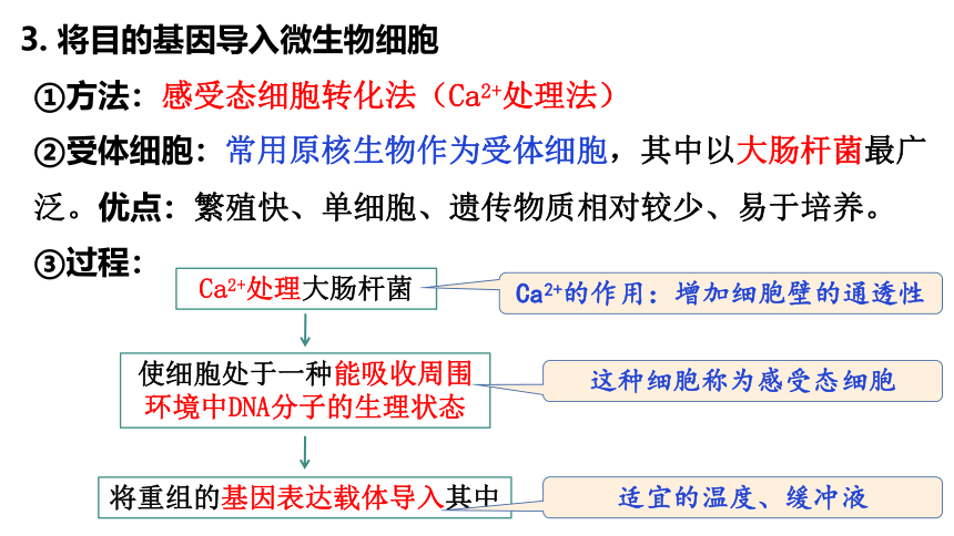 苏教版（2019）选择性必修三   3-1基因工程操作步骤 (共32张PPT)
