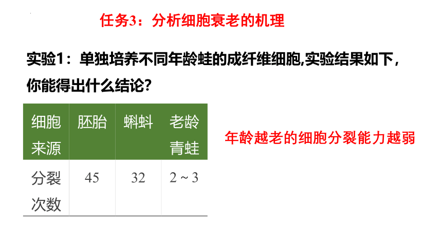 生物人教版（2019）必修1 6.3细胞的衰老和死亡（共20张ppt）