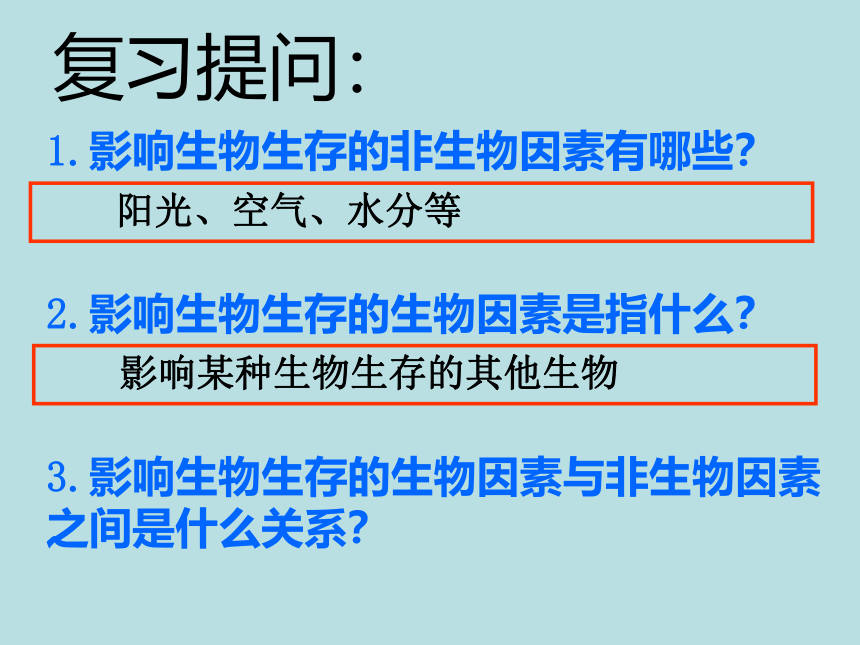 七年级生物上册 1.2.2 生物与环境组成生态系统课件(共38张PPT)