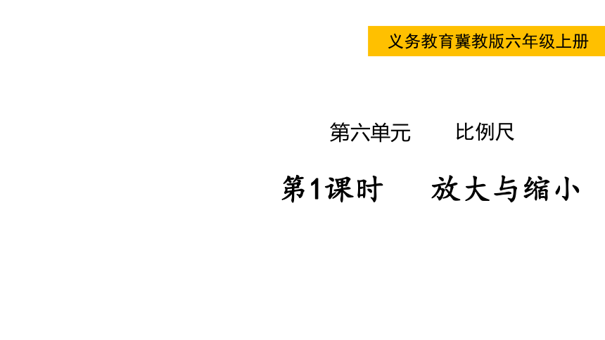 冀教版数学六年级上册  6.1放大与缩小  课件（18张ppt)