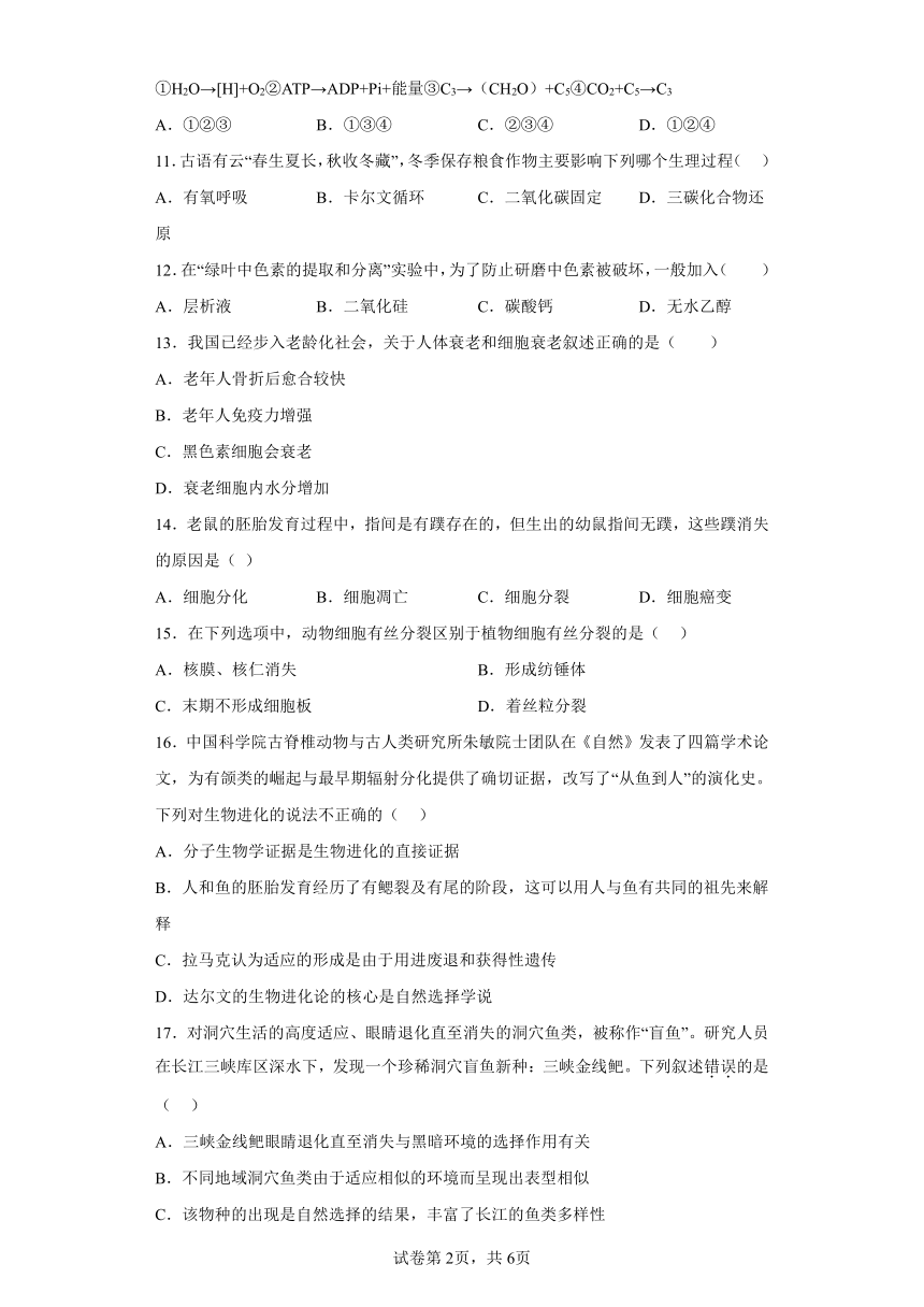 2023年湖南省宁乡市高一下学期5月学业水平模拟考试生物试题（含解析）