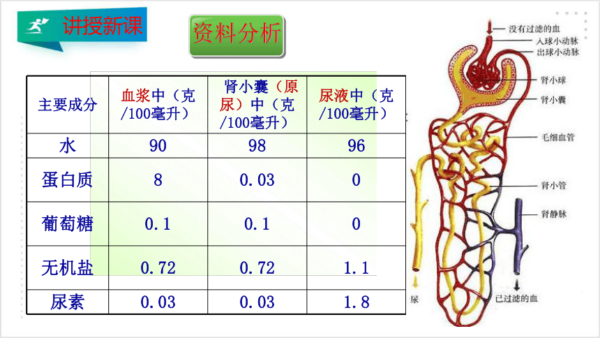 4.5人体内废物的排出 课件（30张PPT）