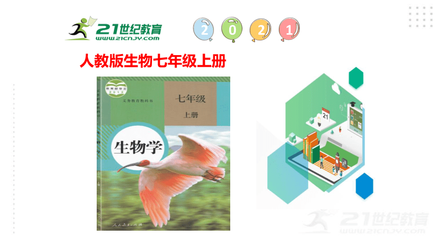 人教版七年级生物上册1.2.2生物与环境组成生态系统课件（第2课时）（22张PPT)