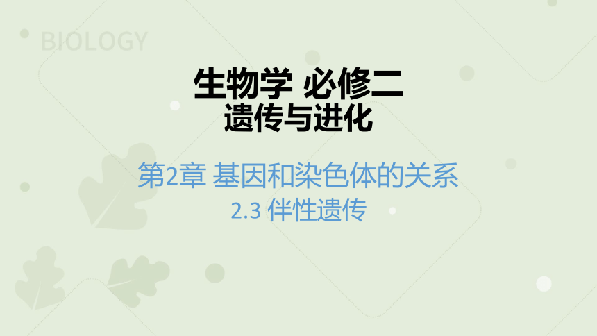 2022-2023学年高一生物人教版（2019）必修二2.3 伴性遗传（教学课件）（24张ppt）