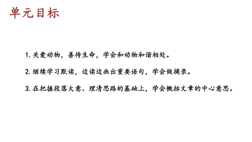 部编版七年级语文上册课(共41张PPT)件--16  猫