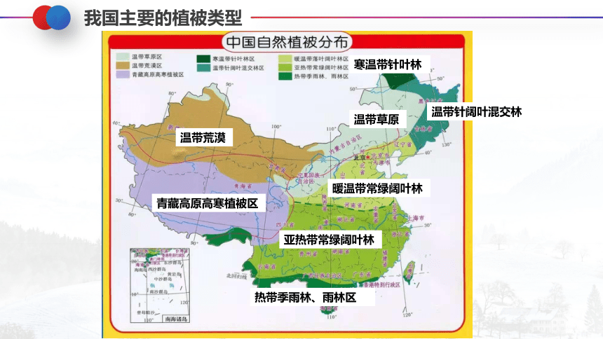 2022-2023学年人教版生物七年级上册 3.6 爱护植被  绿化祖国  课件 (共21张PPT)