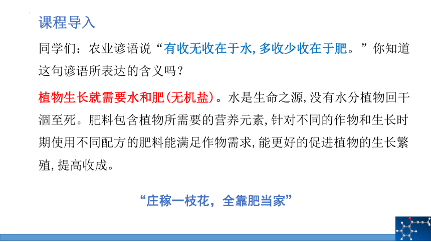 第十一单元课题2化学肥料(课时1)课件(共24张PPT)-2022-2023学年九年级化学人教版下册