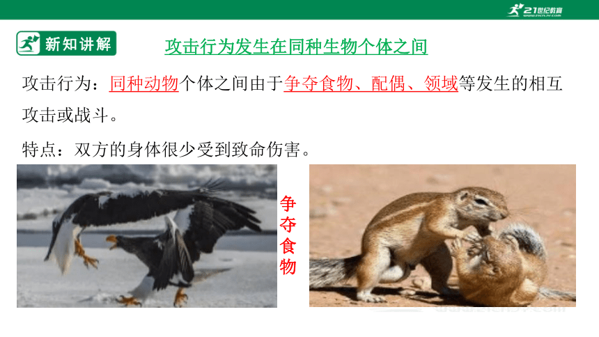 【北师大版】5.16.2 动物行为的主要类型-2022-2023学年八年级生物上册 同步课件(共54张PPT)