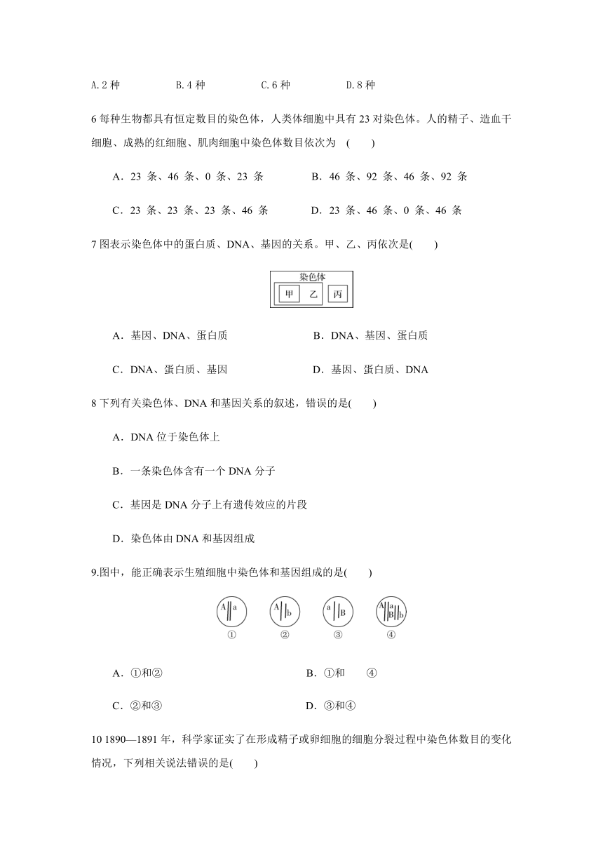 人教版八年级生物下册第七单元 第二章 第二节 基因在亲子代间的传递 同步练习（Word版含答案）