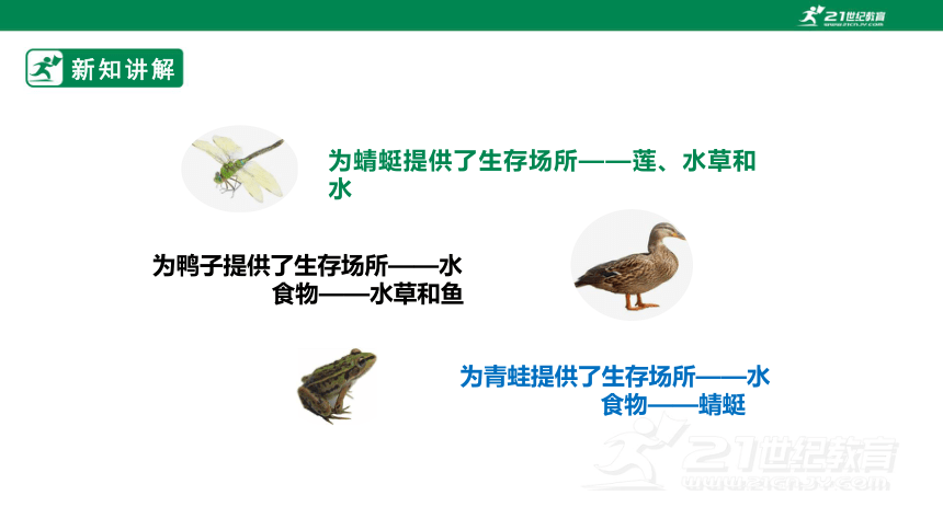 【新课标】1.1《生物的栖息地》课件（24张PPT）