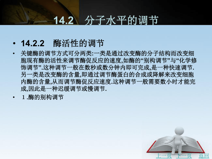 第14章 物质代谢的调控  课件(共28张PPT) 《生物化学》同步教学（北京理工出版社）