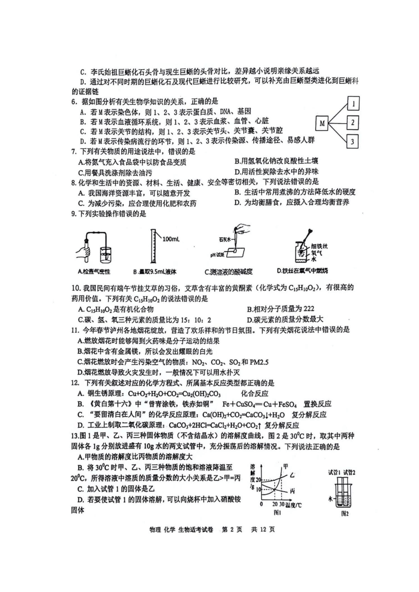 2024年四川省泸州市江阳区适应性考试九年级理科综合试题（PDF版含答案）