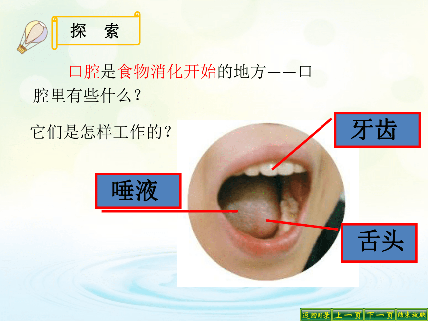 教科版（2017秋）四年级科学上册2.7.食物在口腔里的变化（课件16张ppt）