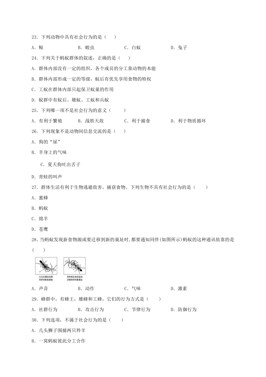 人教版生物八年级上册第五单元第二章动物的运动和行为综合测试（word版含答案）